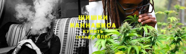 гидропоника Алзамай