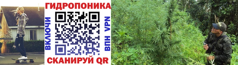 МАРИХУАНА индика  Иннополис 